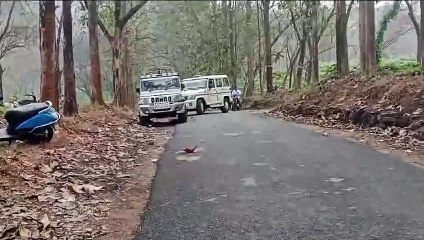 മസ്‌തകത്തിന് പരിക്കേറ്റ കാട്ടാനയെ കണ്ടെത്താനുള്ള ദൗത്യം തുടരുന്നു; ഡ്രോൺ ഉപയോഗിച്ചും തെരച്ചിൽ നടത്തും