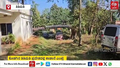 ಕೊಡುಗು: ನಡುರಸ್ತೆಯಲ್ಲಿ ರಾಜಾರೋಷವಾಗಿ ಕಾಡಾನೆ ಸಂಚಾರ