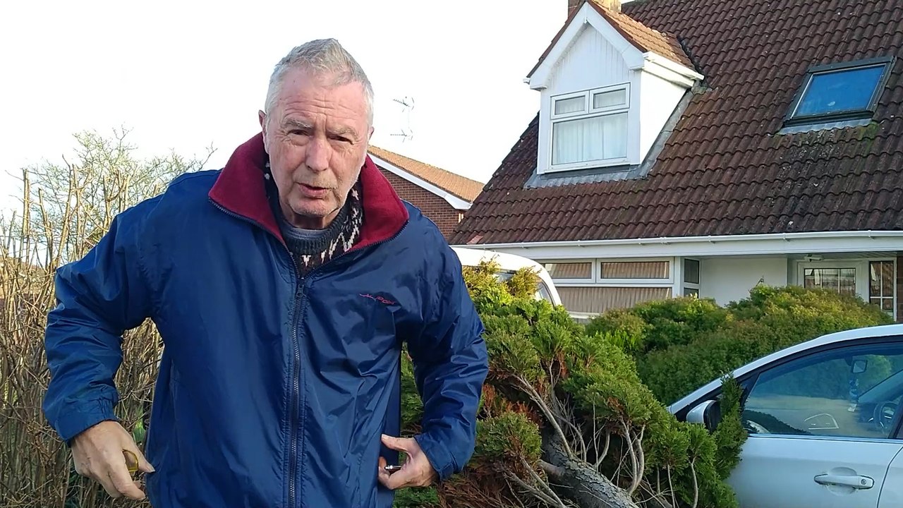 VID20250124140834 Damage done to my property and Garden