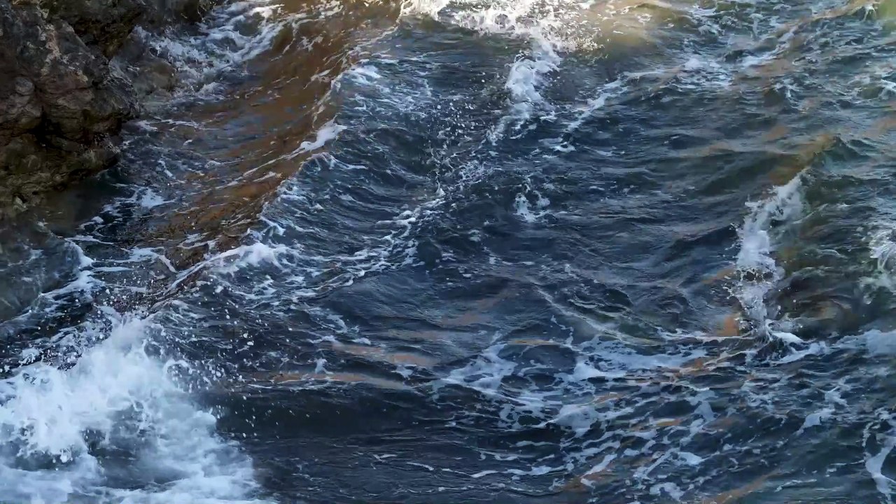 Viral video