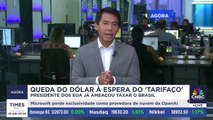 Queda do dólar à espera do 'tarifaço' de Donald Trump; veja análise de Paulo Tafner