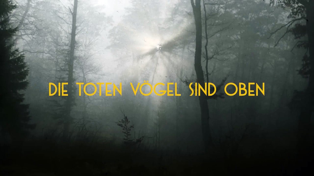 Die toten Vögel sind oben - Trailer