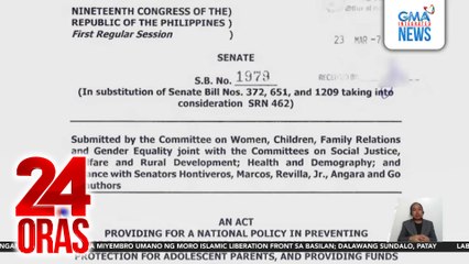 Katagang "guided by int'l standards," tinanggal sa inihaing substitute bill; Sen. Hontiveros: Na-fake news lang ang panukalang batas | 24 Oras
