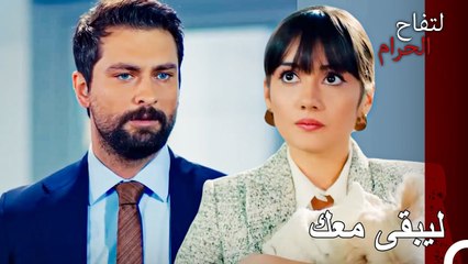 لم يستطع علي هان تحمل حزن زينب اكثر من ذلك - التفاح الحرام الحلقة ال 82