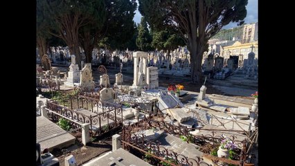 Gran Camposanto di Messina, un cipresso caduto a causa del maltempo danneggia 15 tombe