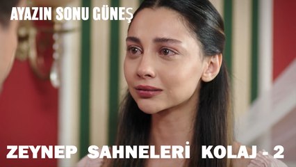 Zeynep Sahneleri Kolaj (2) - Ayazın Sonu Güneş