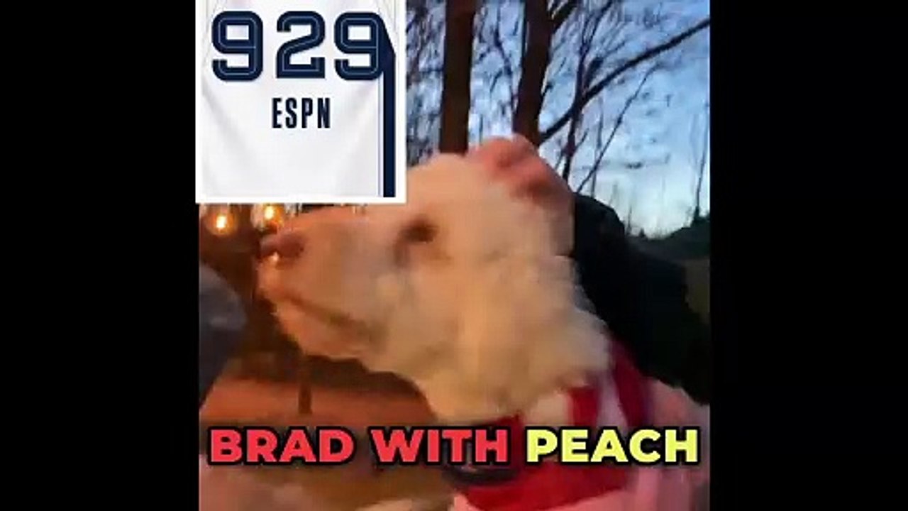 1/23/25 929 Report 3 things for Memphis