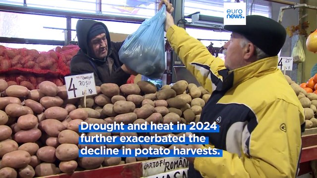 Romanian farmers give up on growing potatoes as costs surge