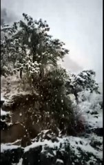 🌨️ Experience the Magic of Galyat in Winter! ❄️