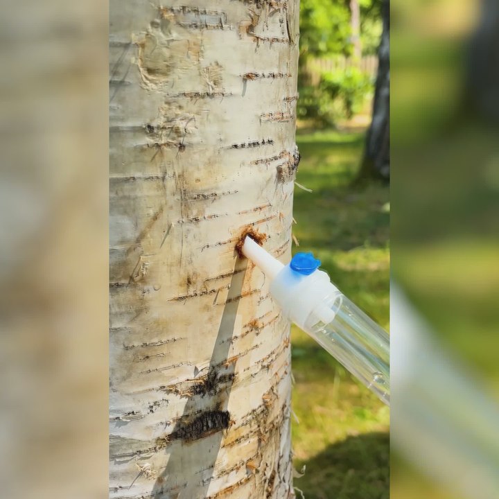 Genius Camping Hacks to Make Your Outdoor Adventures Easier!