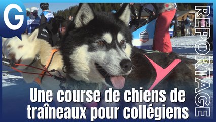 Reportage - L'Odyssée des Enfants, une course de chiens de traîneaux unique