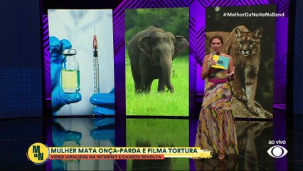 Mulher mata onça-parda e filma tortura | Melhor da Noite