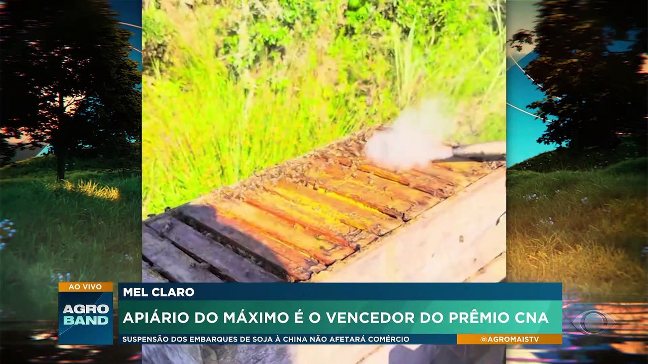 Melhor mel do Brasil é do Rio Grande do Sul