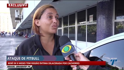 Ataque de pitbull: bebê de 9 meses tem região ítima dilacerada por cachorro