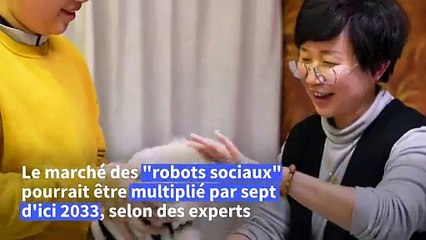 En Chine, les animaux robots dotés d'IA consolent une jeunesse solitaire