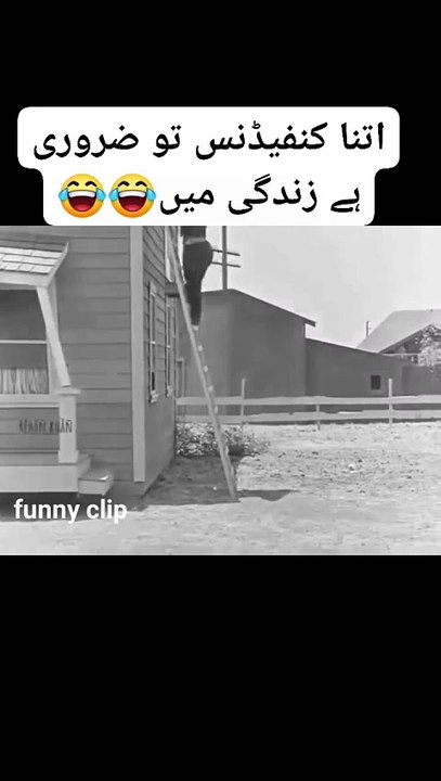 Funny video