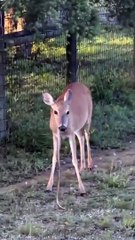 What the hell did I just see😳