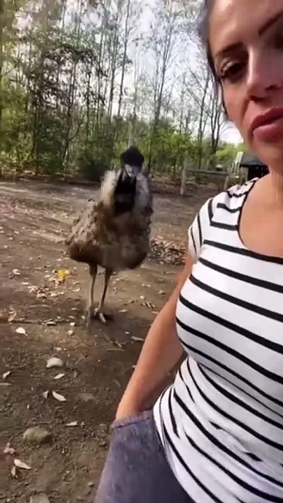 😂😂😂