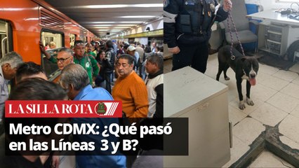 Rescatan a lomito en el Metro de la CDMX