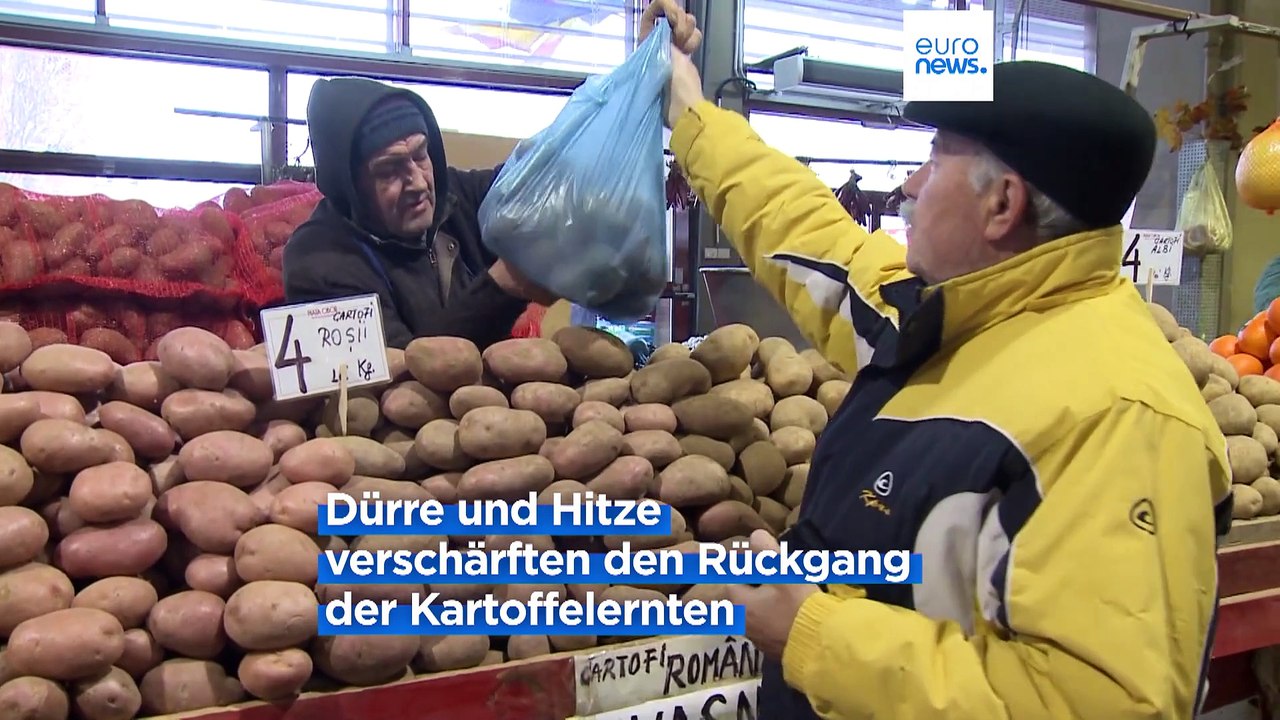 Steigende Kosten: Rumänische Landwirte geben den Kartoffelanbau auf