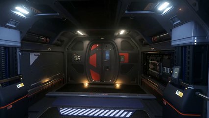 MISC Fortune 4.0.1 PTU (https://discord.gg/gudYhZxQem)