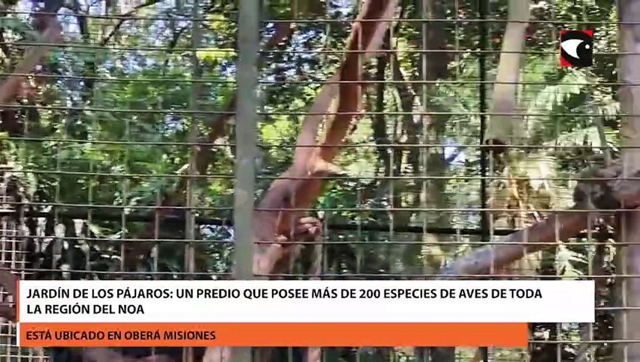 Jardín de los Pájaros un predio que posee más de 200 especies de aves de toda la región del Noa