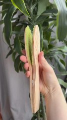 P.UBLlClTE 🛍️ Le LlEN de ce produit (n°69) est dans ma Bl0 (La Bl0-graphie est le texte de présentation sur ma page d’accueil daily, sous ma photo de profil)😀