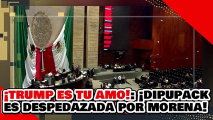 ¡TRUMP ES TU PADROTE! ¡DIPUPACK de ALITO es PULVERIZADA por UNA VALIENTE DIPUTADA de MORENA!
