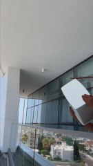 Cockroaches Are Always Worried About Their Family 🥰🥹