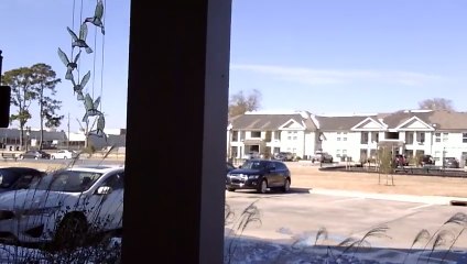 WIN_20250123_11_53_17_Pro we rarely even get snow up in Hammond