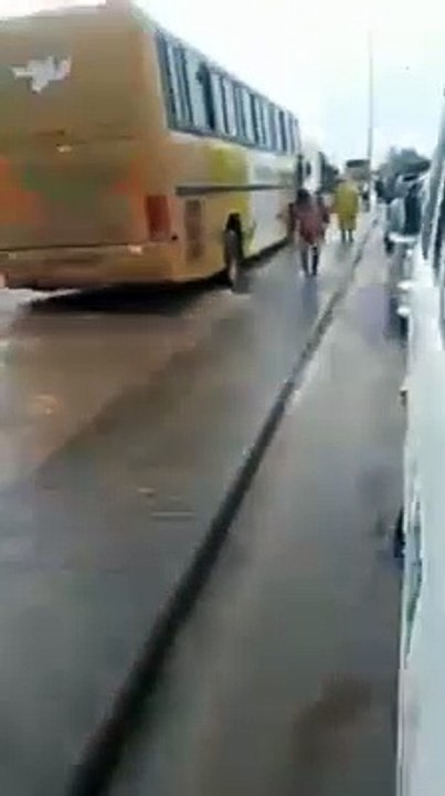 Tarzán en Santa Cruz