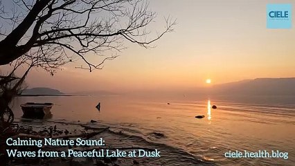 Calming Nature Sound- Waves from a Peaceful Lake at Dusk