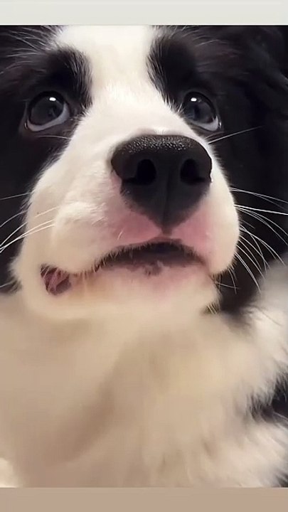 Dear, hello new day🥰