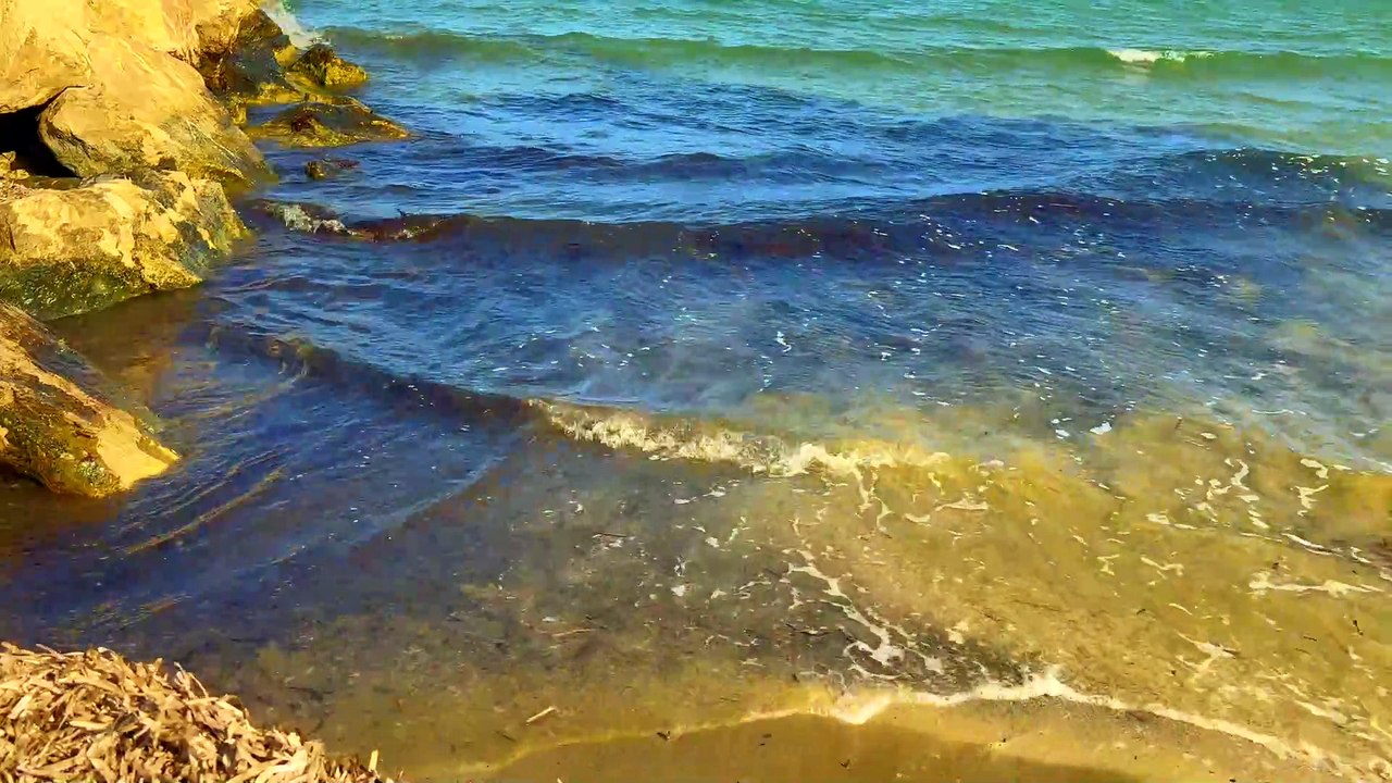 Pamela Storch - Seascapes in the Sand (Official Music Video)