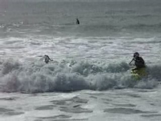 Kayak Surf Quiberon (Crevettes)