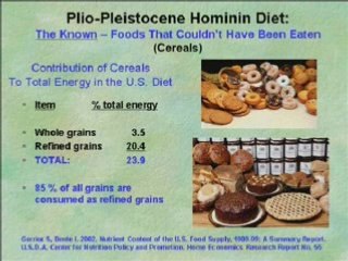 The Paleo Diet and Multiple Sclerosis (MS)Part 1/4