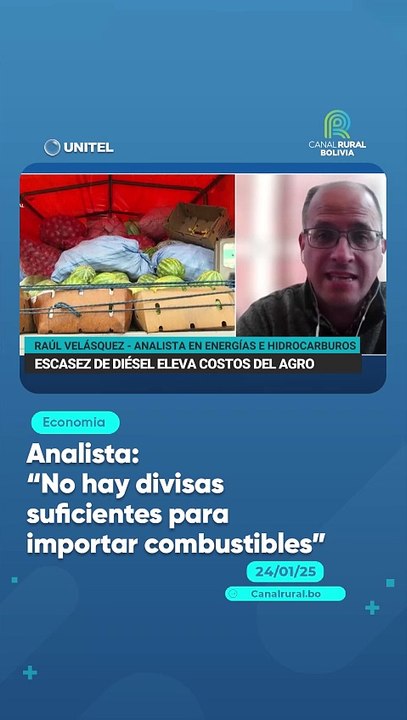 Analista: “No hay divisas suficientes para importar combustibles”