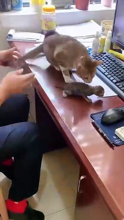 Don't touch my baby 😭