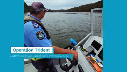 Strike Force Trident officers inspect oyster leases on NSW Far South Coast