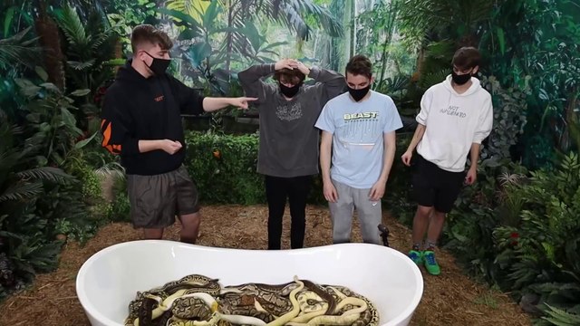 Would You Sit In Snakes🐍For $100,000 | Mr Beast |