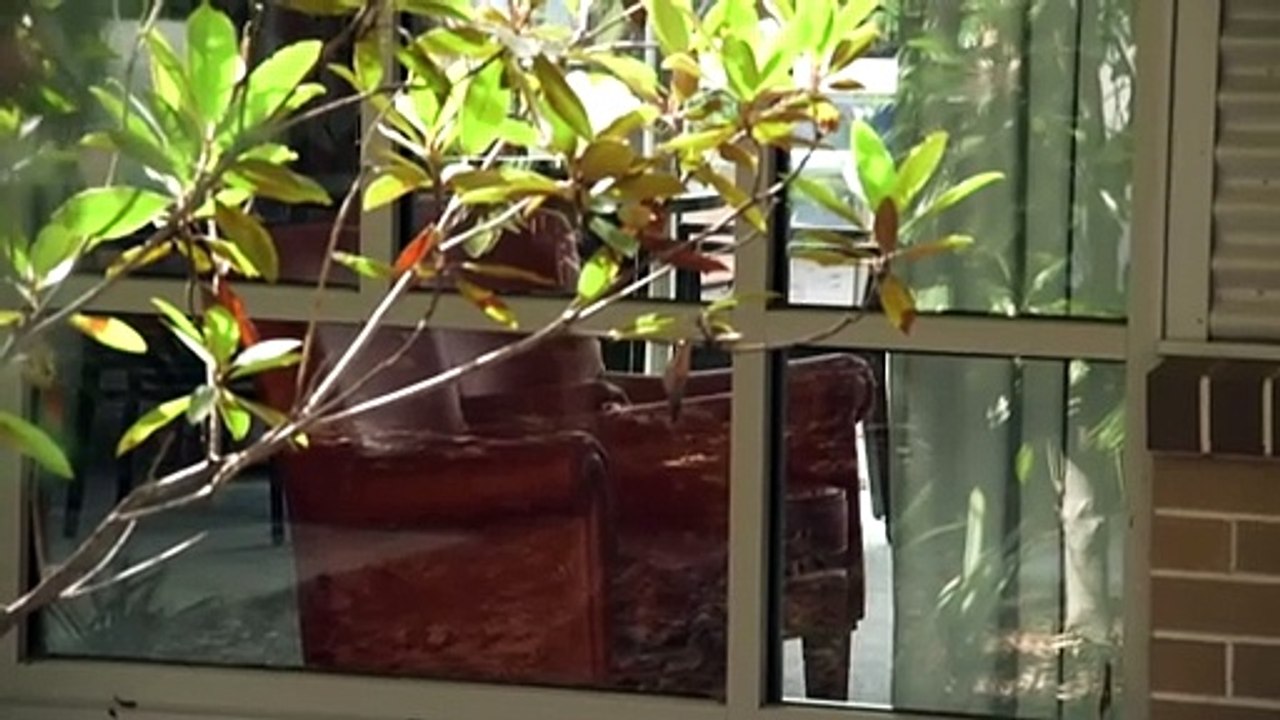 Inquest finds COVID-19 deaths could have been prevented at Sydney aged care facility