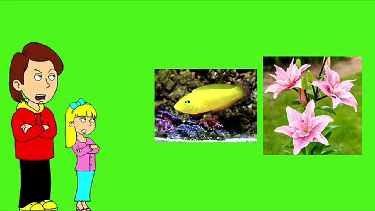 Coris Gets Grounded — Season 2