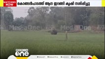 കൃഷി നശിപ്പിച്ച ആനയെ വനം വകുപ്പും നാട്ടുകാരും കാട്ടിലേക്ക് തുരത്തി