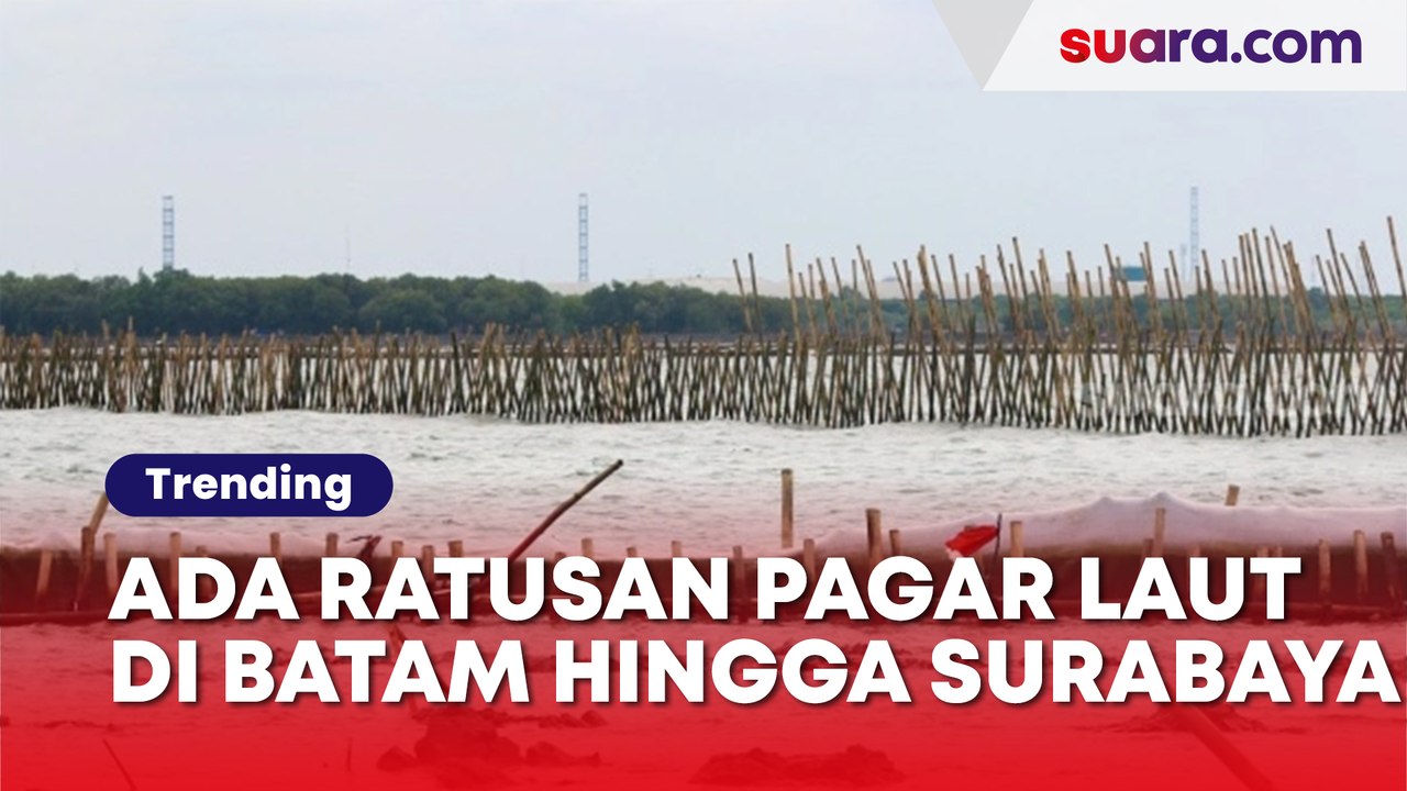 Tak Cuma di Tangerang dan Bekasi, Ratusan Pagar Laut Bertebaran di Batam hingga Surabaya
