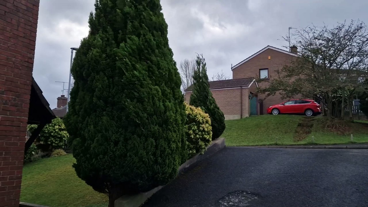 Storm Eowyn in Northern Ireland