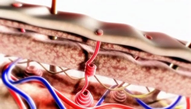 Jesús, hijo de Dios: Últimos días - Jesús de Nazaret