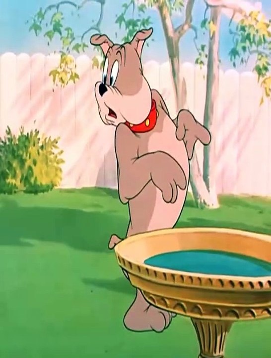 Tom and Jerry Ep 6