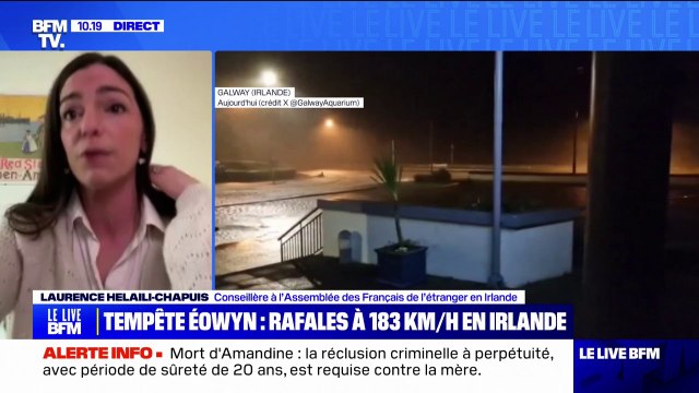 Tempête Éowyn: 750.000 foyers en Irlande sont privés d'électricité , indique Laurence Helaili-Chapuis, conseillère à l'Assemblée des Français de l'étranger en Irlande
