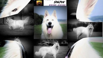 Diaporama 2025-01-24 départ de notre Snow