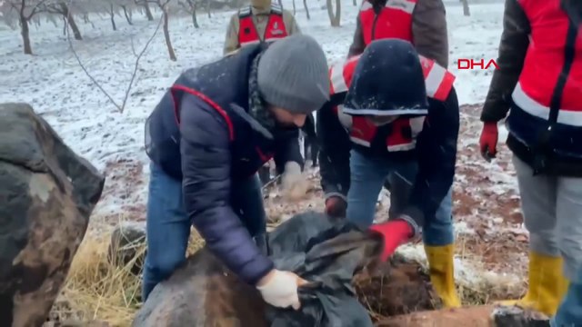 Şanlıurfa'da silah kaçakçılığı operasyonu: 9 gözaltı